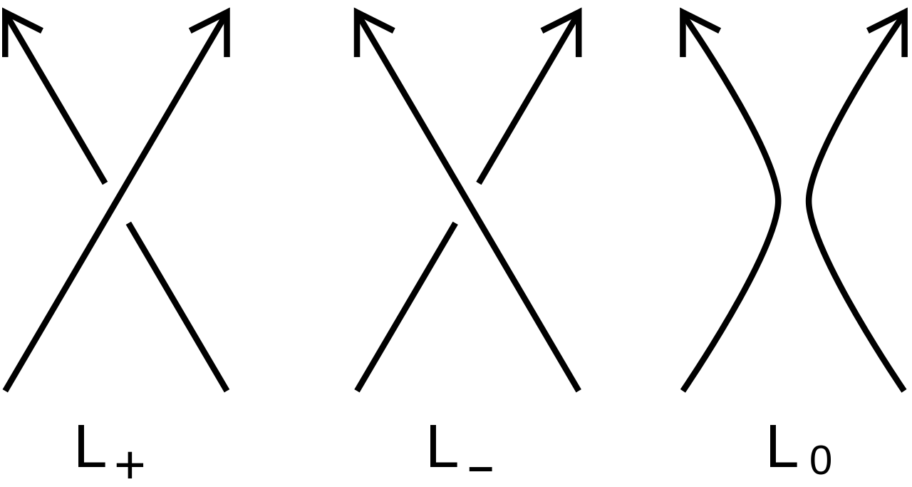 Conway Polynomial Skein Relations